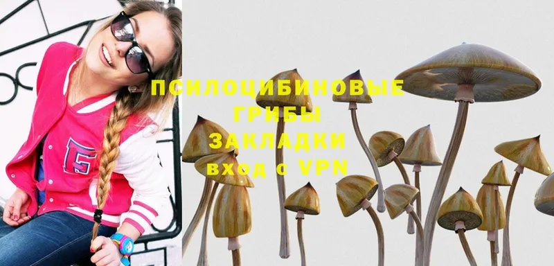 Псилоцибиновые грибы Magic Shrooms  Всеволожск 